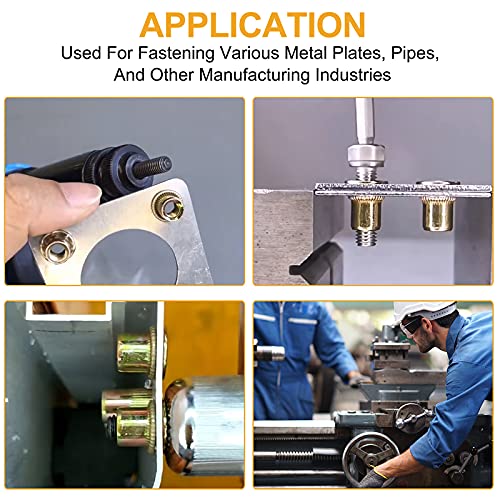 Vigrue 320Pcs Rivet Nuts Sae & Metric, Carbon Steel Zinc Plated Unc Nutsert Assortment, Rivnuts Nutserts 1/4"-20, 3/8"-16, 5/16"-18, 10-24, 6-32, 8-32 And M3 M4 M5 M6 M8 M10 M12 #TOP5