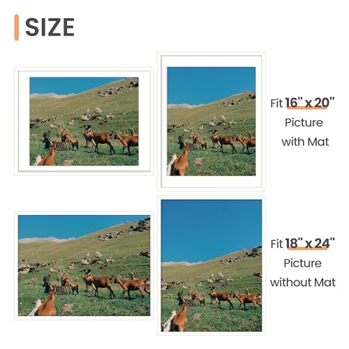 Image of upsimples 18x24 Picture Frame, Display Pictures 16x20 with Mat or 18 x 24 Without, Wall Hanging Poster Frames, White, 1 Pack