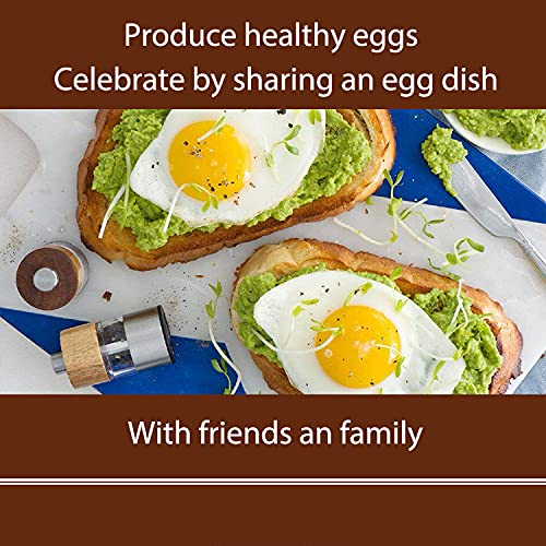 Euchirus Non-Gmo High-Protein Large Dried Mealworms For Chickens, Natural Grubs And Poultry Treats As Chicken Feed,Duck Food, Wild Birds Seed,Fish Food,Reptile Food,Amphibian Food(Mealworms-11Lb) #TOP6