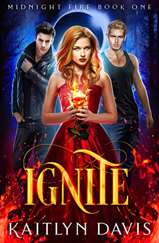 Télécharger Ignite (Midnight Fire Series Book 1) (English Edition) PDF