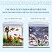Fx4 Foam Filter Pads Replacement Compatible with Fluval FX5 / FX6 Canister Filter, Aquarium Bio Sponge Foam Filter Pads (12 Packs)