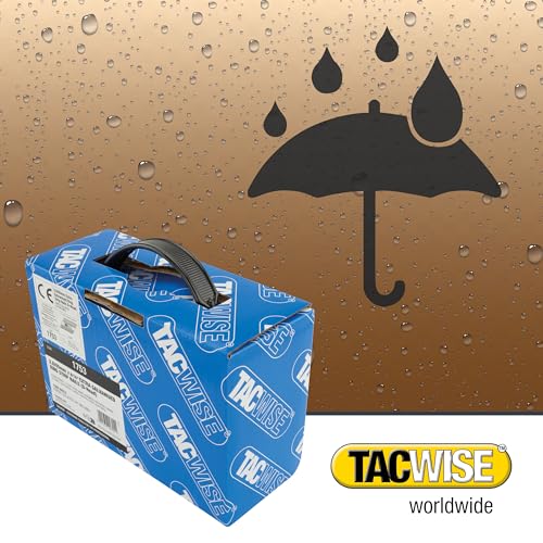 TACWISE 1753 Extra Verzinkte Rahmennägel 2,8/65 mm, D‘-Kopf, Ringschaft, mit 34° Neigung, Papiergebunden, Packung mit 1600 Stück