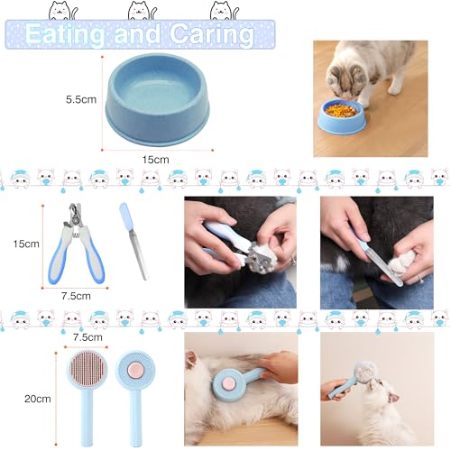 AURIXUS 39-teiliges Kitten-Starter-Set, ideal für Katzen unter 6 Monaten, Katzenbedarf, mit 23-teiligem Spielzeug-Set, Bett, Tragetasche, Einwegtoilette, Schalen und mehr, perfekt für neue