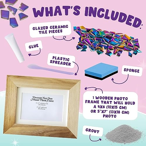 Purple Ladybug A-PL-1382 Diy Picture Frame Mosaic Kits thumb #1