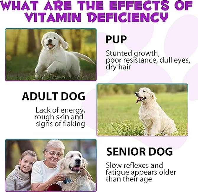 Dog Multivitamin - 15 in 1 Multivitamin Drops for Dogs, Dog Vitamins with Glucosamine Cranberry Supports Joint & Digestion, Skin & Coat, Pets Supplements for Dogs of All Ages, Bacon Flavor - 2 Fl Oz-wbFHoVZC