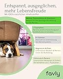 FAVLY – Relax Pulver Beruhigungsmittel für Hunde 250g – getreidefreies Ergänzungsfuttermittel zur natürlichen Beruhigung bei Stress & Angst – mit Melisse, L-Tryptophan & Passionsblume
