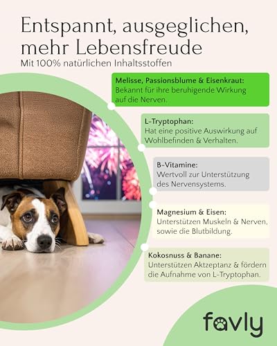 FAVLY – Relax Pulver Beruhigungsmittel für Hunde 250g – getreidefreies Ergänzungsfuttermittel zur natürlichen Beruhigung bei Stress & Angst – mit Melisse, L-Tryptophan & Passionsblume