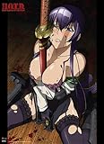 High School of The Dead Saeko Cloth Wall Scroll Poster GE-5905