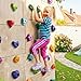 TOPNEW 36PCS Rock Climbing Holds for Kids, Rock Wall Holds with Hardware - Climbing Rocks for Indoor Outdoor Playground Climbing Wall