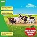 Schleich Farm World - 7 PC Farm Animal Playset with Dog, Cat, Pig, Goat, Rooster, Baby Horse and Cow Toys - Realistic Barnyard Figurines - Fun Educational Figures For Kids and Toddlers Ages 3+ | 77533