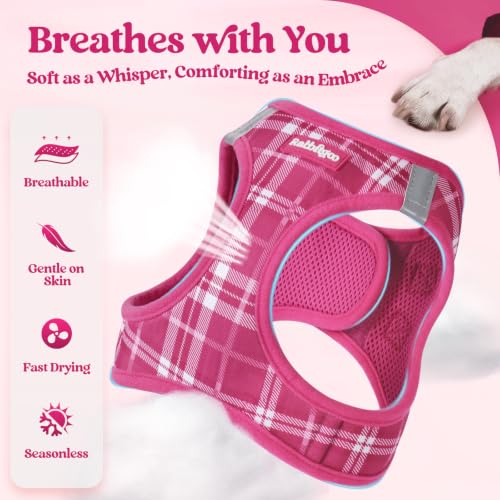 Image of rabbitgoo Dog Harness Small Sized and Leash Set, Step-in Puppy Pet Vest