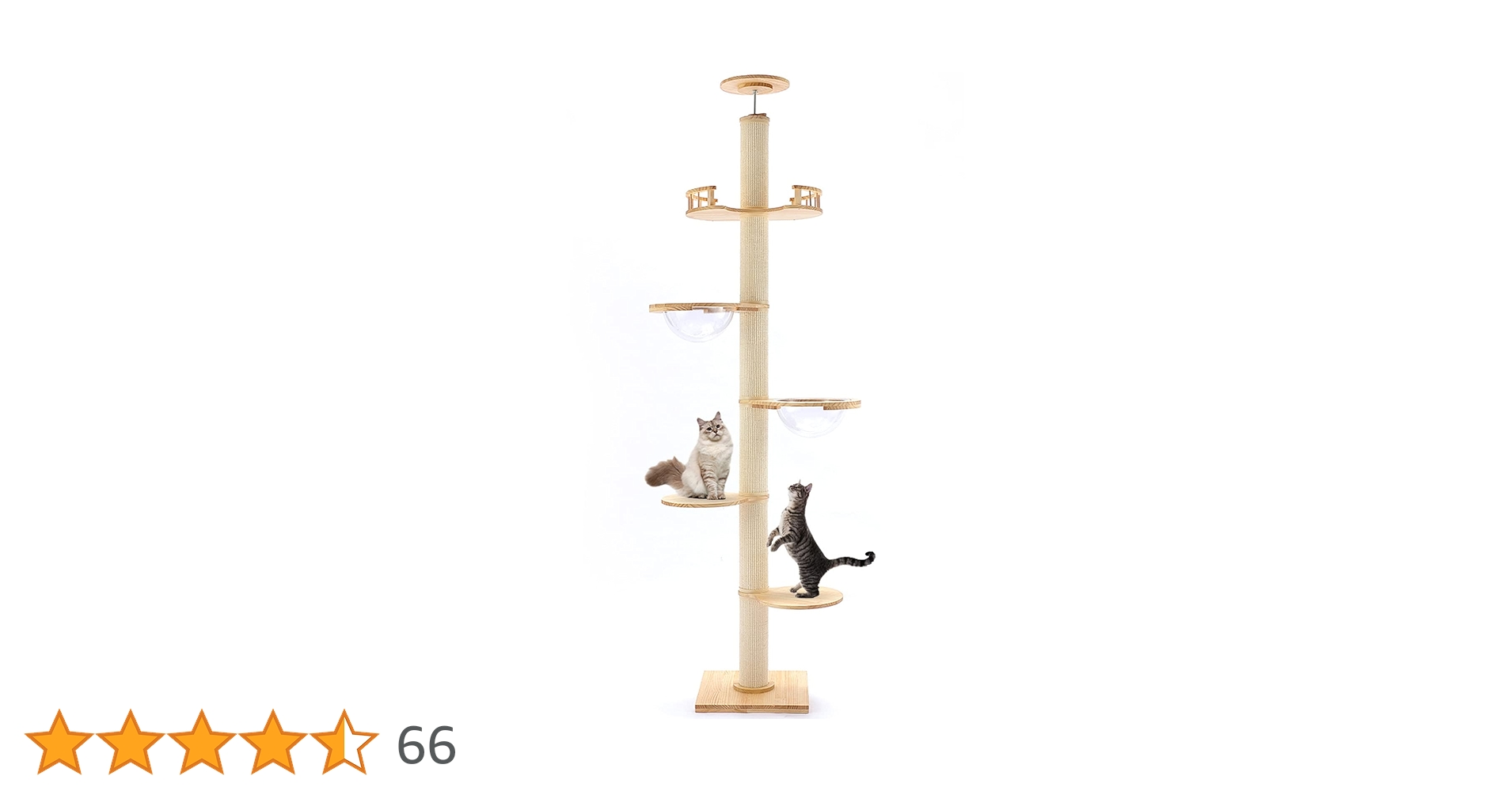 518zcpnaIbL.jpg_BO30,255,255,