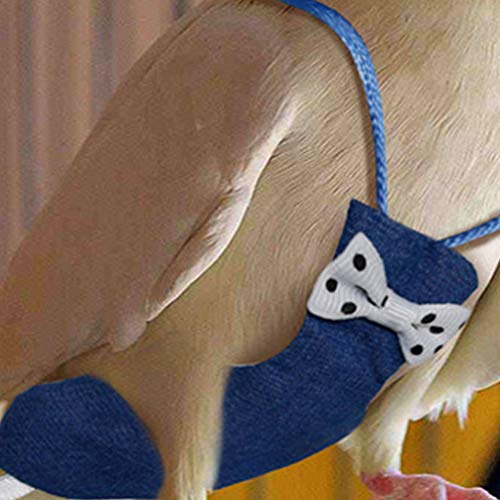 ULTECHNOVO-Bird-Diaper-Nappy-Parrot-Flight-Suite-Liners-Parrot-Nappy-Washable-Bird-Diaper-for-Macaw-African-Budgies-Parakeet-Agapornis-M