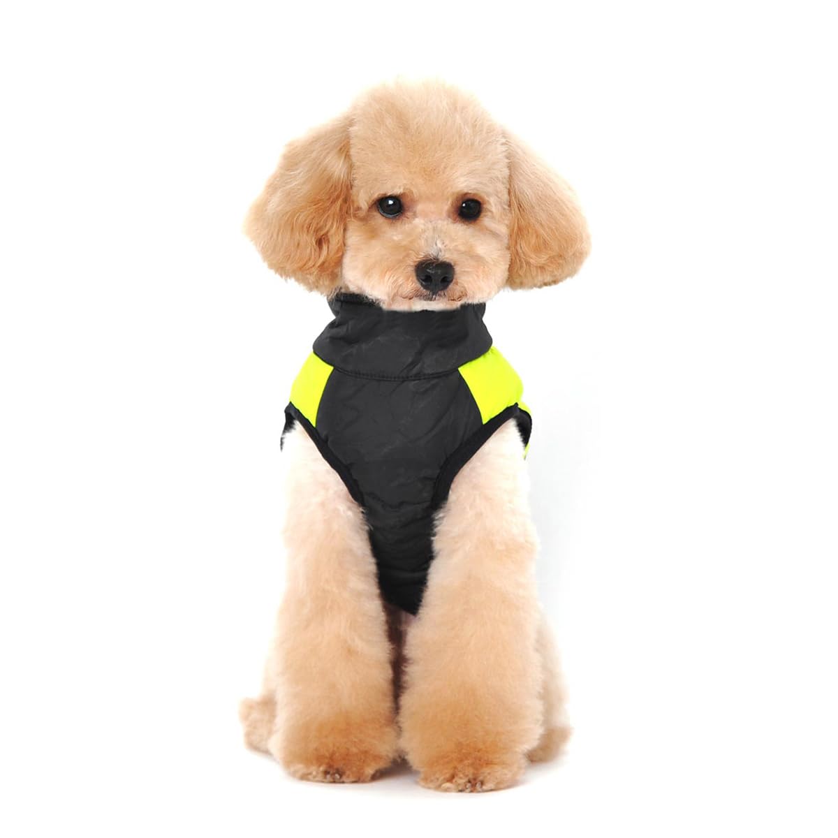 Animale Domestico Cane Vestiti Imbottito Abbigliamento Cappotto Giacca