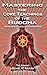 Mastering the Core Teachings of the Buddha: An Unusually Hardcore Dharma Book