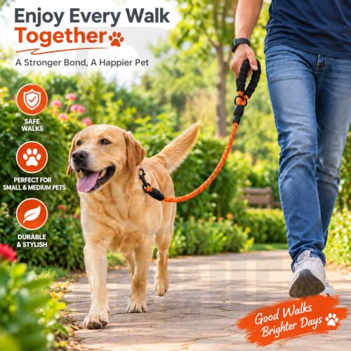 Image of PetVogue FT Nylon Rope Dog Leash, Heavy Duty Training & Walking Lead for Small, Medium & Large Dogs, Reflective Pet Walking Cord with Comfortable Padded Handle & Strong Metal Clip (Orange)