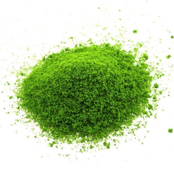 3xLight Green Granular Shape DIY Foliage Sponge Leaves Model Mini Trees Model- Model Railroads & Trains - HO Scale - Parts & Accessories - Scenery & Trees-image-36