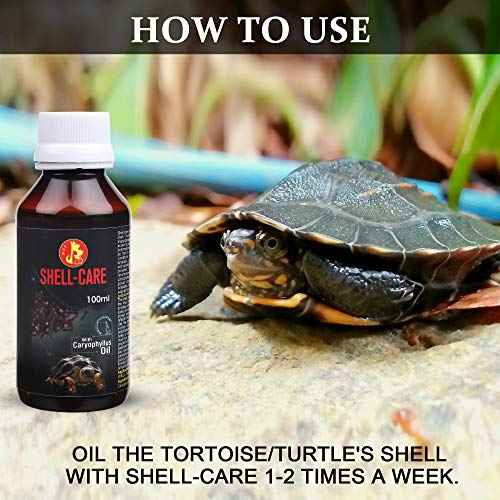 Image of Pet Care International (PCI) Shell Care Provide Best Care for Turtle & Tortoise Shell (100ml)