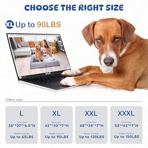 Extra-Large-Dog-Bed-Orthopedic-Washable-XL-Dog-Bed-with-Waterproof-Removable-Cover-Dog-Beds-for-Extra-Large-Dogs-with-Non-Slip-Bottom-Memory-Foam-Pet-Couch-Sofa-Grey-42-x-30 - Cucciolini Doodles   Extra-Large-Dog-Bed-Orthopedic-Washable-XL-Dog-Bed-with-Waterproof-Removable-Cover-Dog-Beds-for-Extra-Large-Dogs-with-Non-Slip-Bottom-Memory-Foam-Pet-Couch-Sofa-Grey-42-x-30