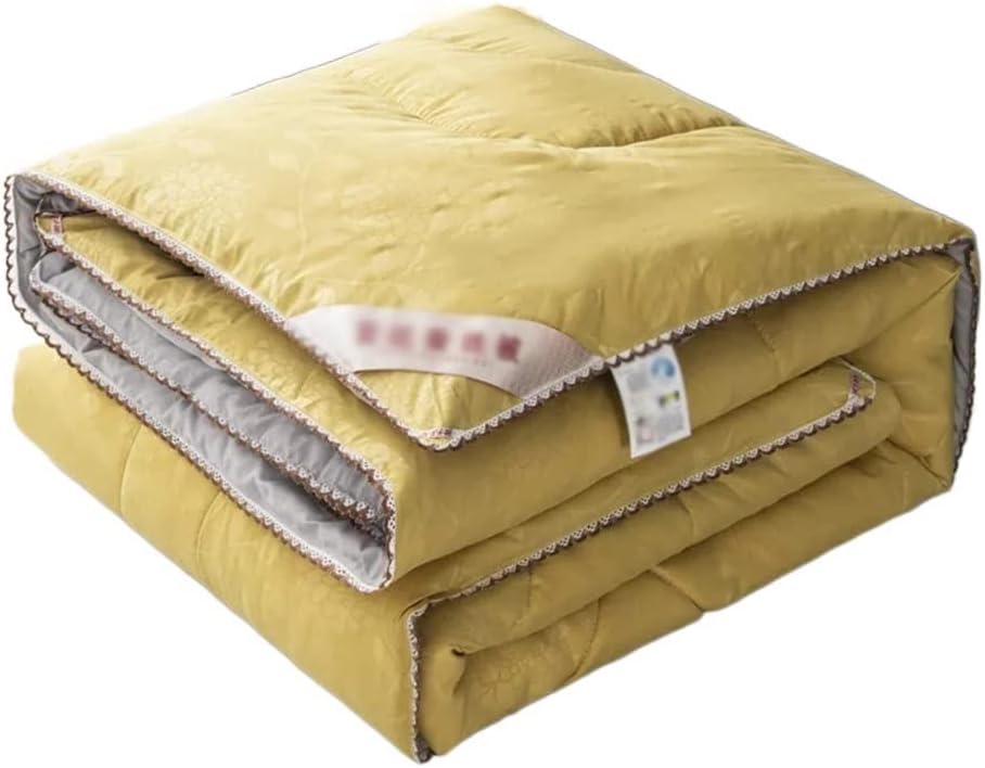 Silk Comforter Winter Quilt Queen Twin Size Chinese Silk Bedding Duvet Insert(200X230 4kg)