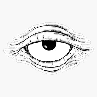 Eye Spy with My Third Eye Vinyl Waterproof Sticker Decal Car Laptop Wall Window Bumper Sticker 5"
