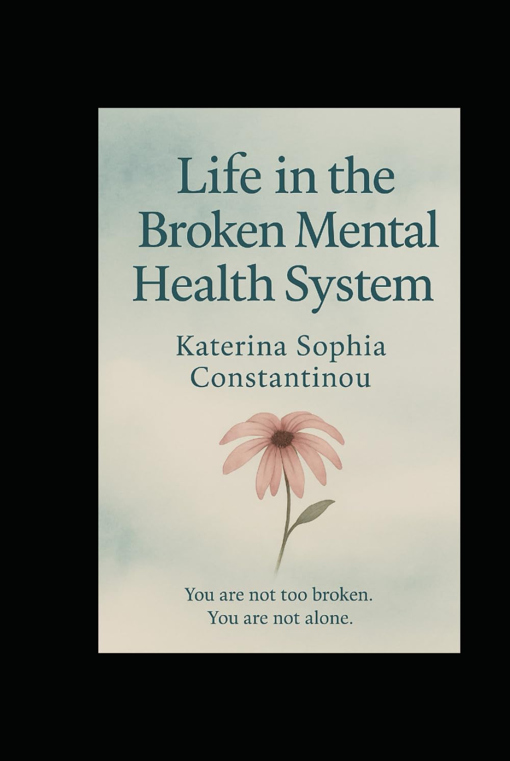 Life In The Broken Mental Health System