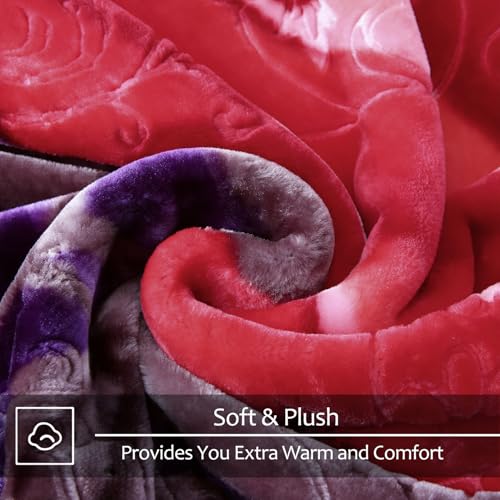 Image of JYK Soft Korean Mink Blanket, 5.7 LB Fleece King 83'' x 91'' - 2 Ply Reversible 520GSM Super Soft Plush, Thick, Warm Bed Blanket for Autumn Winter - Rose /Camellia
