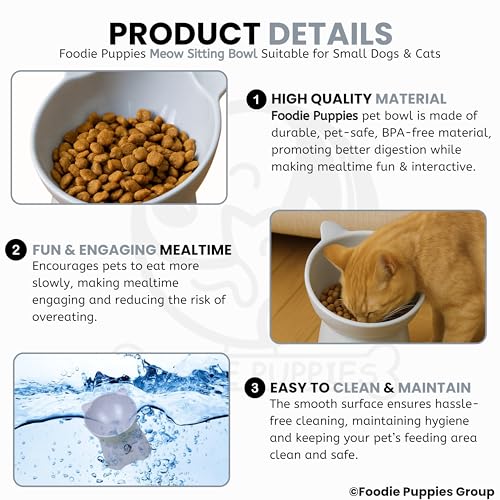 Image of Foodie Puppies Pet Elevated Food and Water Tilted Cat Bowl (Sitting Meow Bowl) | Durable, Anti Vomiting Cat Feeder for Persian Cats Prevent Tipping Over | Elevated Feeder for Cats, Kittens & Puppies