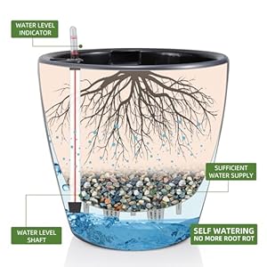 Dexceder 13x12 Self Watering Planter with Wheels Indoor Outdoor, Inner Pot Design, Thickened Large Floor Standing Flower Plant Pot with Water Level Indicator (Slate Gray Matte) Dexceder 13×12 Self Watering Planter with Wheels Indoor Outdoor Inner Pot Design Thickened Large Floor Standing Flower Plant Pot with Water Level Indicator Slate Gray Matte