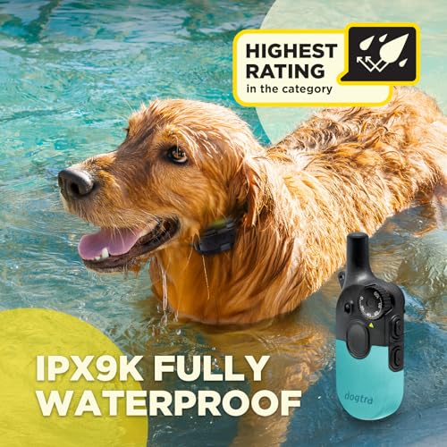 Image of Dogtra 200iQ Remote Training E Collar - 100 Levels, Tone, Vibration, 1 /2 Mile Range - Compact, Waterproof, One-Handed Control for Dogs 10 lbs+ - Lightweight Daily Training - Slip Resistant Teal