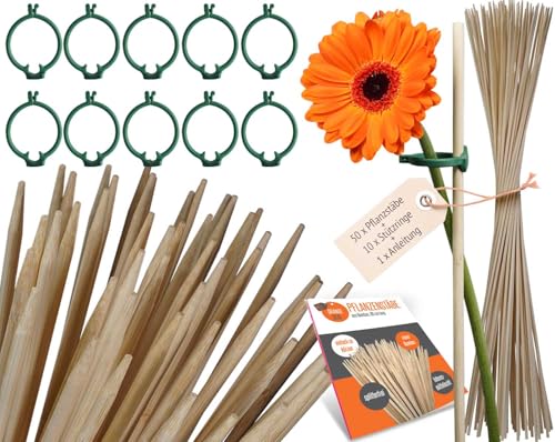 50 Pflanzstäb Bambus + 10 Pflanzenstützringe - Rankstäbe Bambusstäbe für Zimmerpflanzen, Rankhilfe Garten, Pflanzstäbe, Pflanzenstab Rankstab Holz wie Holzstab für Gurken Tomaten 90cm x 6mm Ø