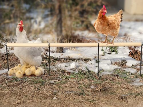 Image of Chicken Coop Accessories, Extra Long Wooden Chicken Roosting Perch with Metal Stakes, Roosting Bars for Chickens in Coop, Chicken Enrichment Toys