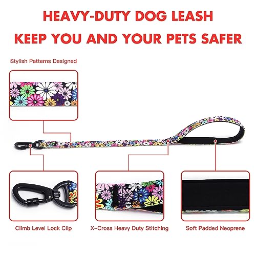 Ensemble collier martingale et laisse NO27 en acier inoxydable durable - 5