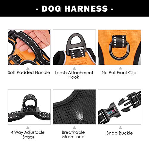 Phoepet No Pull Dog Harnesses For Small Dogs Reflective Adjustable Front Clip Vest With Handle 2 Metal Rings 3 Buckles [Easy To Put On & Take Off] (Xs, Orange) #TOP3