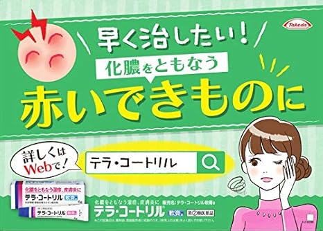 Amazon 指定第2類医薬品 テラ コートリル軟膏a 6g テラ コートリル 皮膚用治療薬