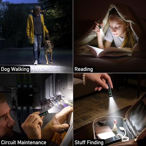 Blukar Taschenlampe LED Aufladbar, 360L Mini EDC Taschenlampen mit 3 Lichtmodi, Klein Flashlight Tragbar mit Schlüsselanhänger, IPX6 Wasserdichte Handlampe für Wandern, Outdoor, Camping usw. -2 Stück