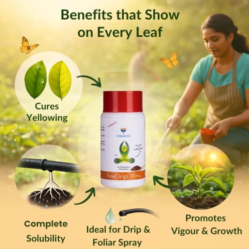 Image of Utkarsh FeeDrip - Fe 6% EDDHA Chelated (100% Water Soluble Chemical for Soil Application) (250 gm; Pack of 1)