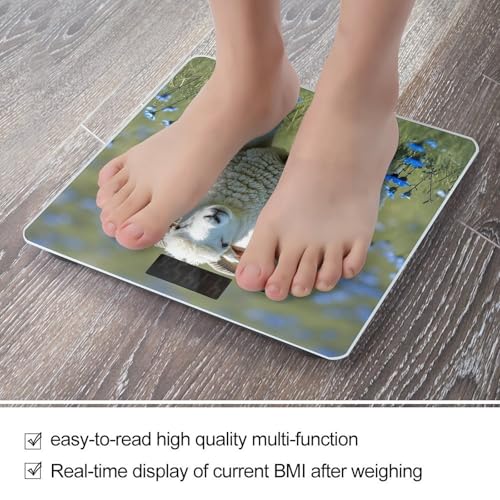 Balanza Digital de Baño VstaDank para Peso Corporal miniatura 5