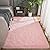 Toneed Pink Fluffy Bedroom Area Rug 5 x 8 Feet Clearance Modern Area Rugs for Boys Girls Kid Living Room College Dorm Nursery Home Decorations Carpet