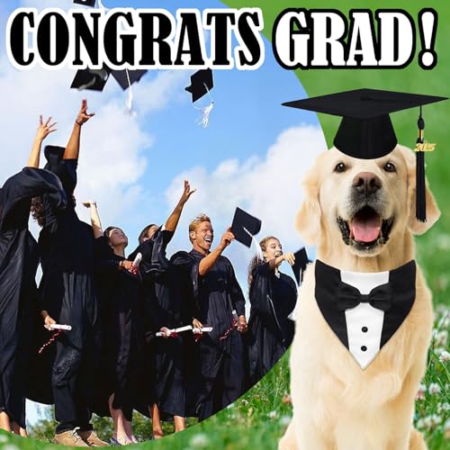 Disfraz para perro con gorra y collar de graduación miniatura 2