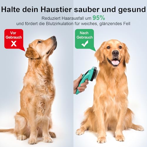 WOPQAEM Hundebürste für Hunde und Katzen, selbstreinigend, Katzenbürste für Unterwolle und loses Fell, ideal für Lang- und Kurzhaar, sanft zur Haut, reduziert Haaren, Fellpflege Bürste, Grün