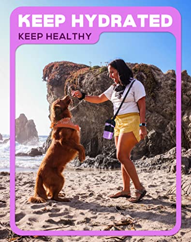 Swsun Portable Dog Water Bottle With A Foldable Bowl 2-In-1 Design, Leak-Proof Dog Water Bowl Dispenser Suitable For Outdoor Dog Walking, Hiking, And Traveling. Bpa Free, 28Oz Purple #TOP6
