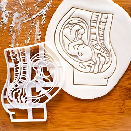 Bakerlogy Pregnant Womb With Foetus Cookie Cutter thumb #1