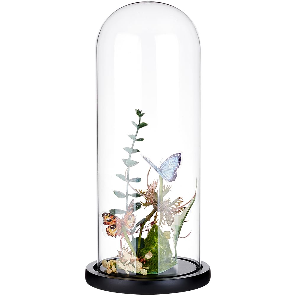 BENECREAT 4.6x12inch Eternal Transparent Flower Glass Cover, Glass Display Dome Cloche Jar with Black Solid Wood Base for DIY Flower Craft