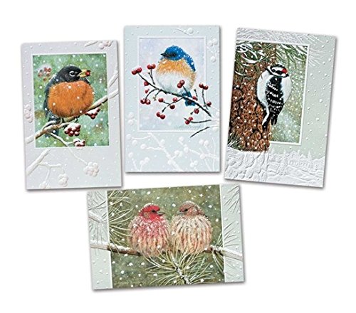 Pack of 20 Assorted Winter Songbirds Fine Art Embossed Deluxe Christmas Greeting Cards