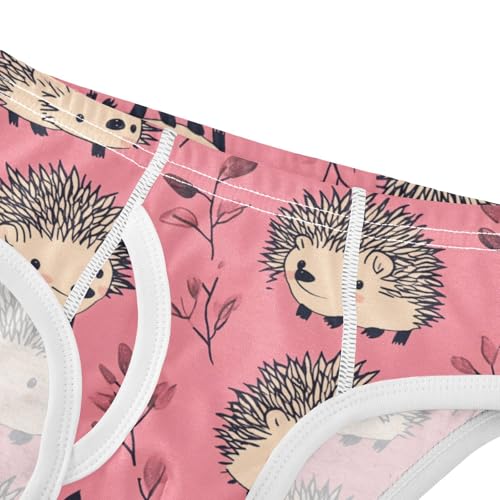 Wusikd Cute Hedgehogs Boys' Underwear Cotton Pink Boys Briefs Soft Toddler Underwear 2T4