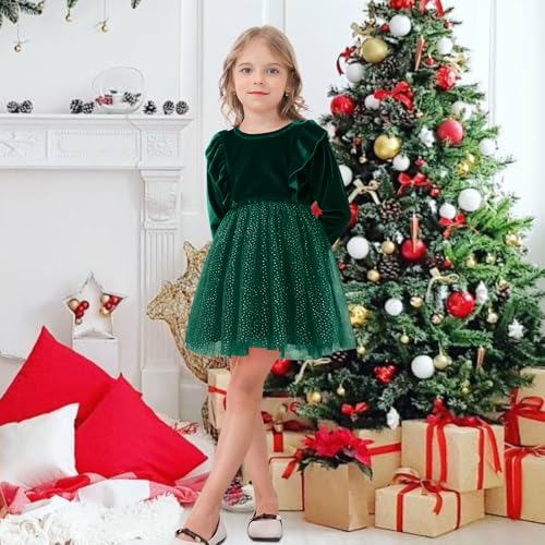 DREAM BUS Toddler Girl Christmas Dress Baby Girl Long Sleeve Ruffled Velvet Top Tulle Dress Special Occasion Dress2