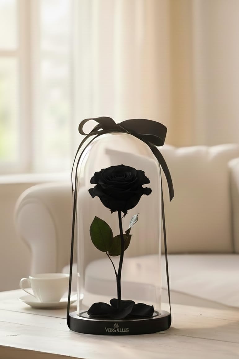 Versailles Preserved Black Rose in Glass Dome with Black Ribbon, Eternal Real Flower on Stem with Fallen Petals, Luxury Home Decor, 430 Grams-image-31