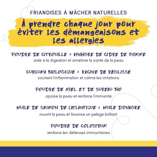 PupGrade Démangeaisons et Allergies pour Chiens – Santé Peau & Soutien Immunitaire avec Huile de Saumon Atlantique – Aide Anti-Démangeaisons – 30 Friandises Molles – Image 5