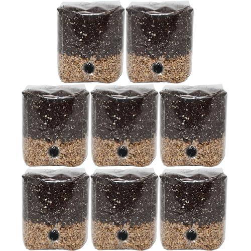 Mini All-in-One Mushroom Grow Bags (8-Pack)